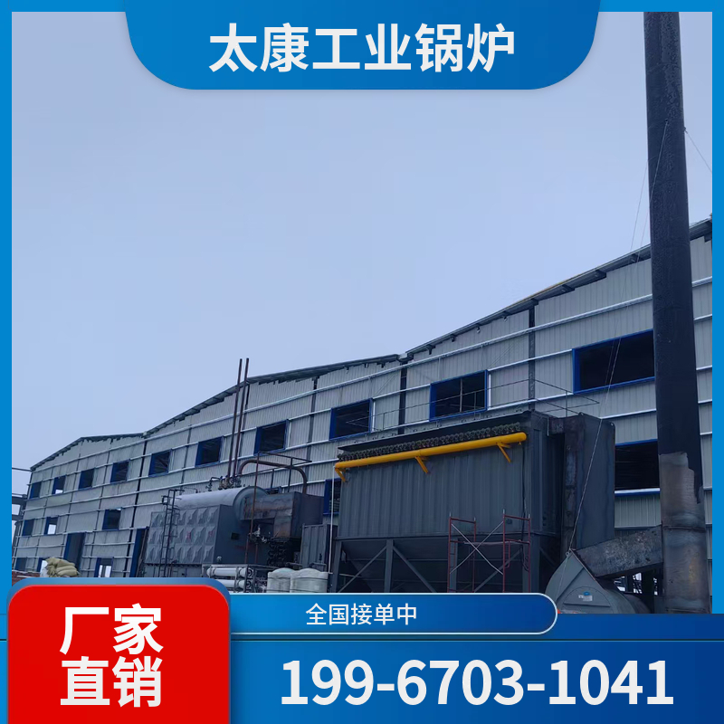 惠州生物质蒸汽锅炉